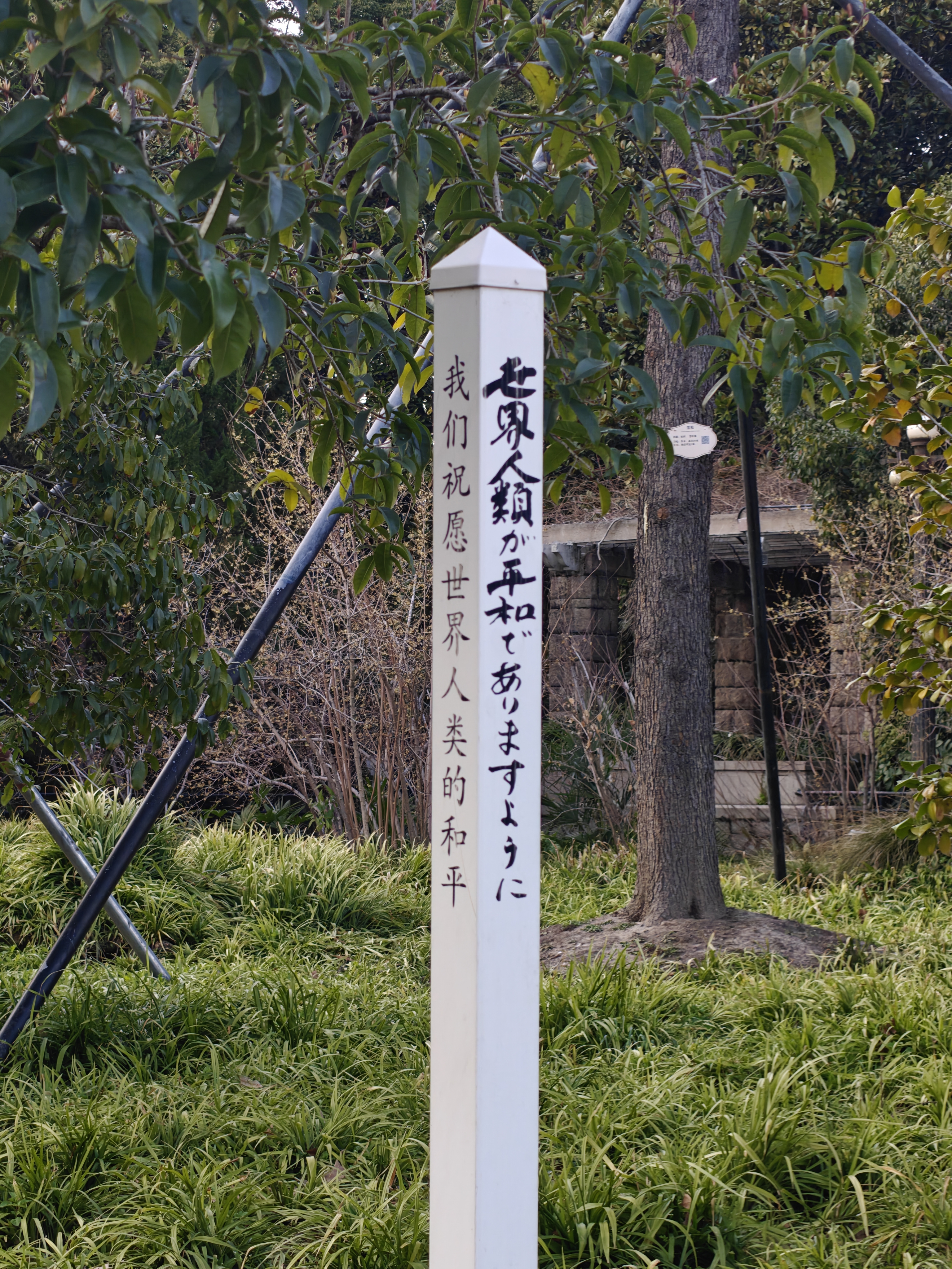 IMG20260308165534.jpg
